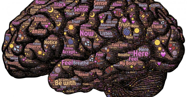 Cum sa iti antrenezi puterea mentala pentru a trece peste orice problema – 9 secrete ale oamenilor puternici mentali