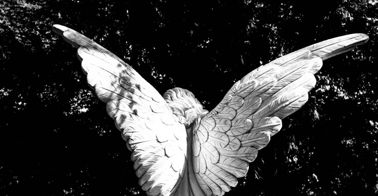 Îngerii te îndrumă întotdeauna – și iată cum să-ți dai seama