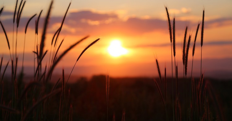 3 Semne că totul va fi bine