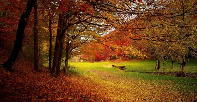 30 de moduri prin care îți vei face viața mai simplă