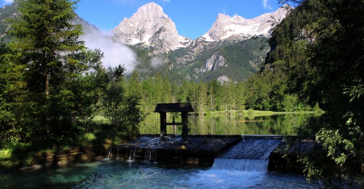 Viata este un privilegiu. Fii recunoscator/recunoscatoare pentru că traiesti.