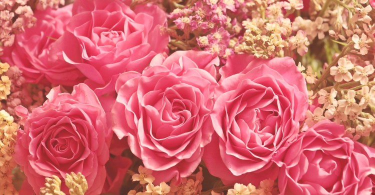 Recunoștința – cum îți poate transforma viața