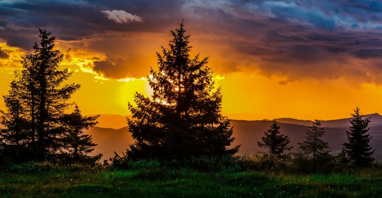 Puterea cuvintelor: Povestioara cu tâlc
