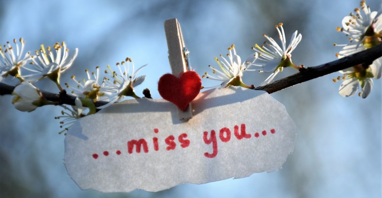 Timpul nu aşteaptă pe nimeni, asa ca dacă iubești pe cineva, spune-i, dacă ai un vis, urmează-l!