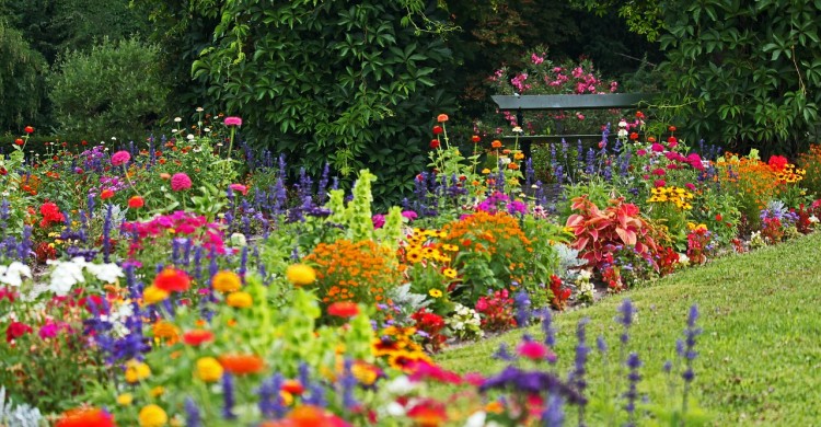 Bucuria – semnul unui suflet sănătos