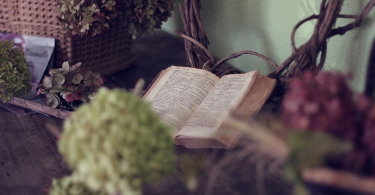 Omraam Aivanhov: Oamenii nu se vor putea transforma citind cărţi dintr-o bibliotecă